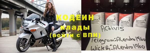 шишки Верея
