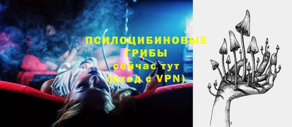 шишки Верея