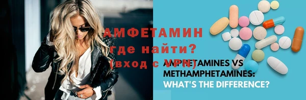 шишки Верея