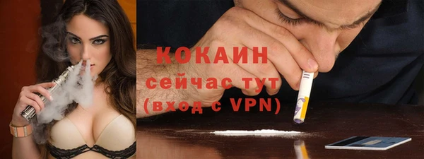 шишки Верея