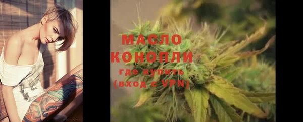 шишки Верея