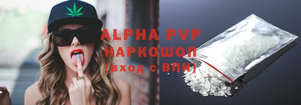 шишки Верея