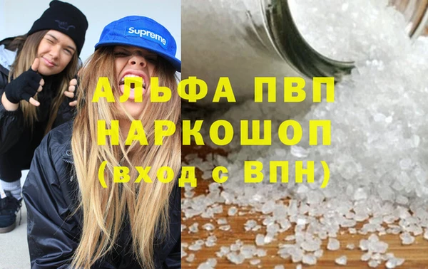 шишки Верея