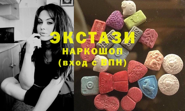 шишки Верея