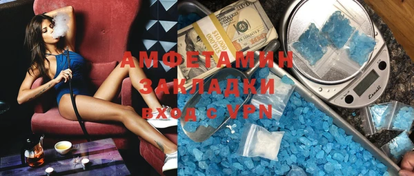шишки Верея