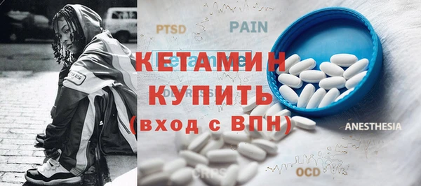 шишки Верея
