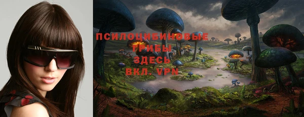 шишки Верея