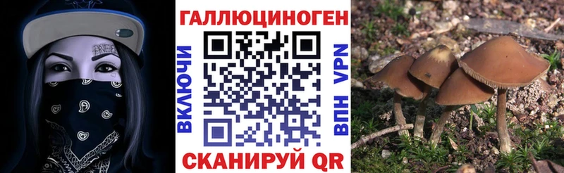 Галлюциногенные грибы Magic Shrooms Железногорск